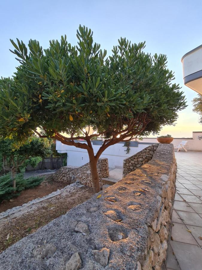 Villa Panoramica Sunset House Torre Vado Zewnętrze zdjęcie